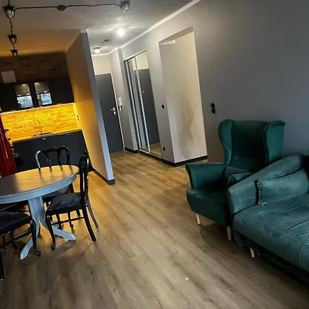 Apartment Z Widokiem Na Stadion Styl Industrialny Jedyny Taki Check In 24 H Poznan