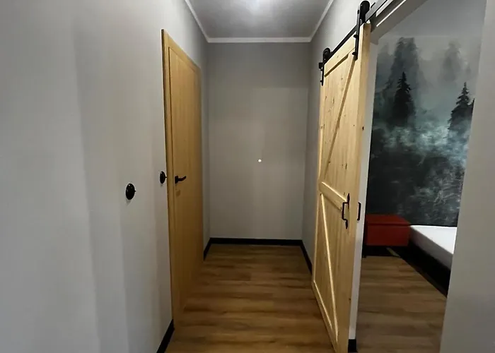 Z Widokiem Na Stadion Styl Industrialny Jedyny Taki Check In 24 H Apartman *